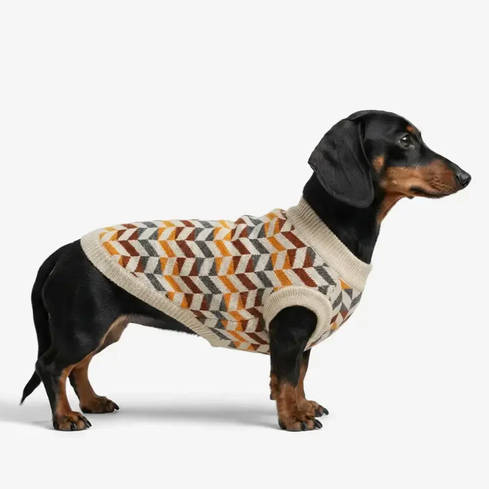 Diamond Striped Dachshund Dog Jumper
