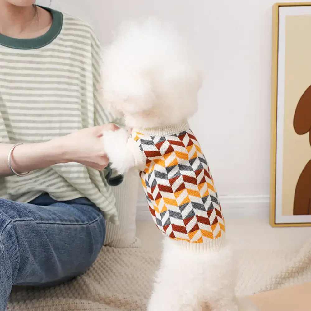 Diamond Striped Dachshund Dog Jumper - Image 11