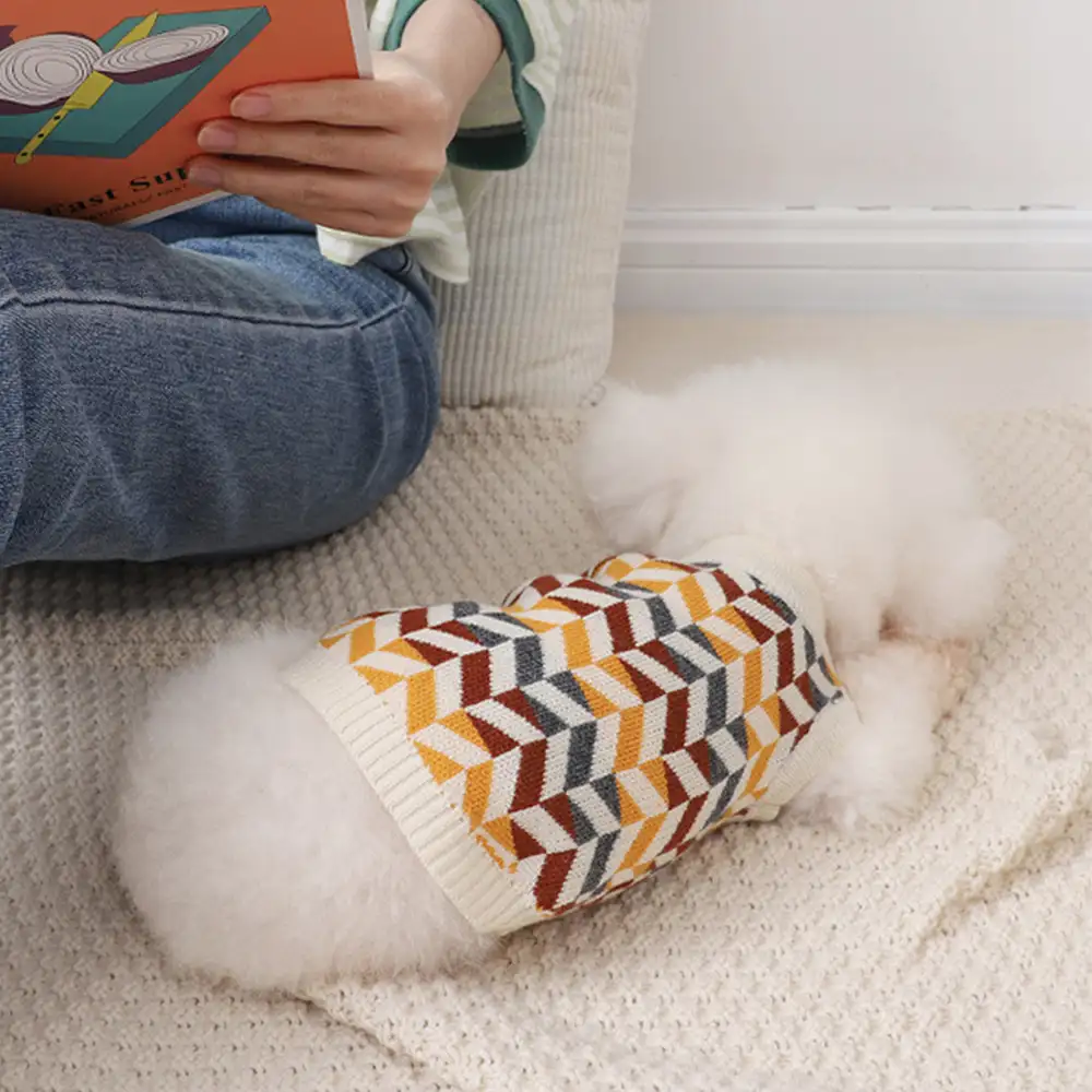 Diamond Striped Dachshund Dog Jumper - Image 12
