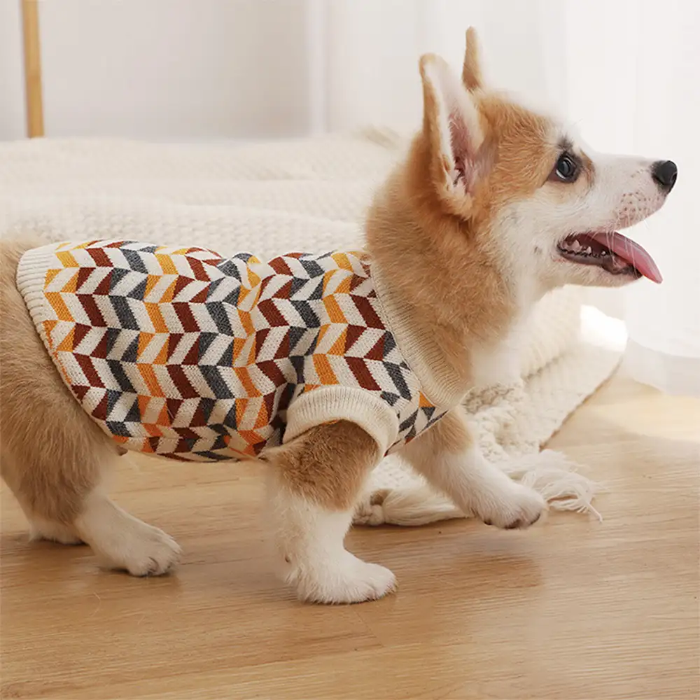 Diamond Striped Dachshund Dog Jumper - Image 2