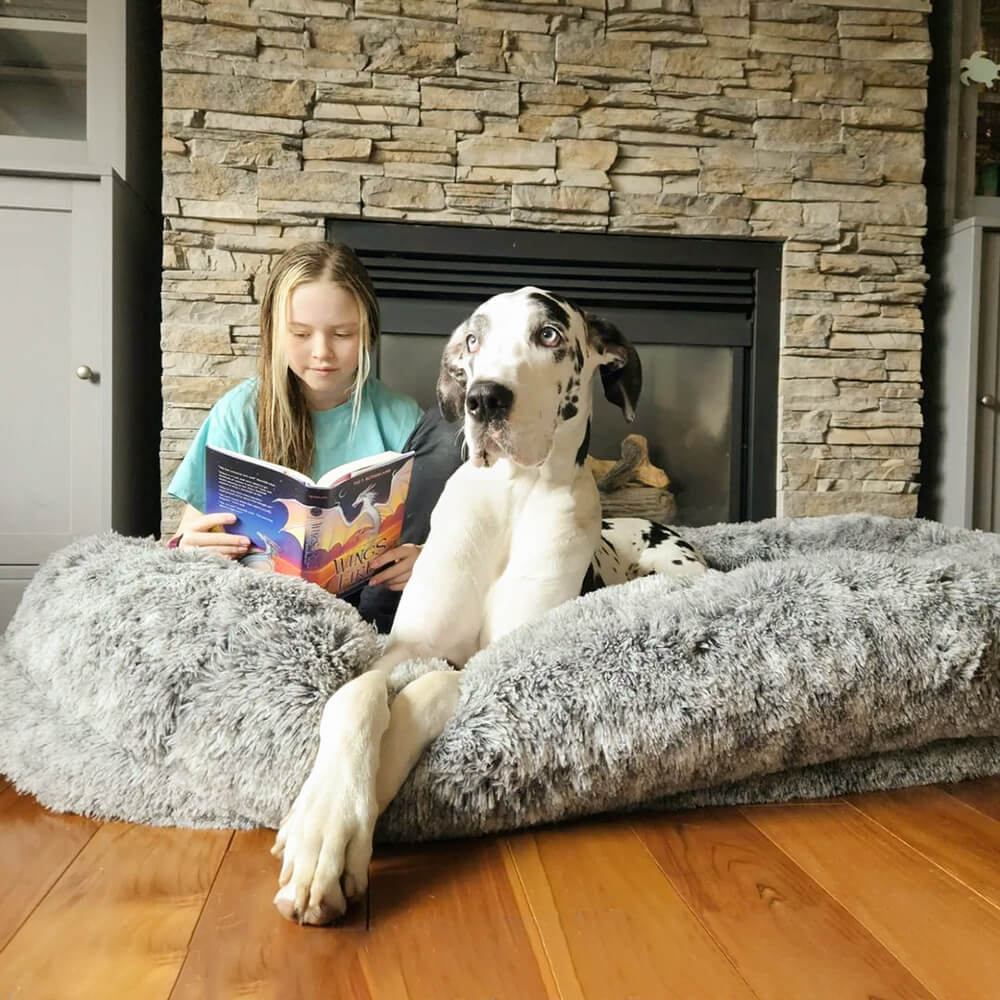 Dog Bed - Donut - Image 18