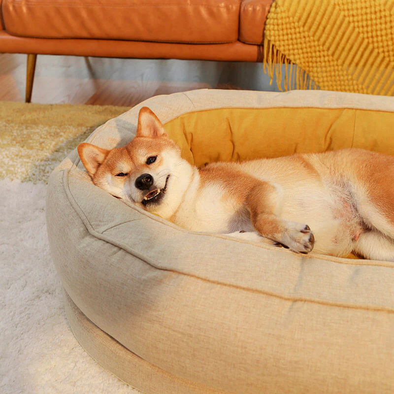Dog Bed - Donut - Image 9