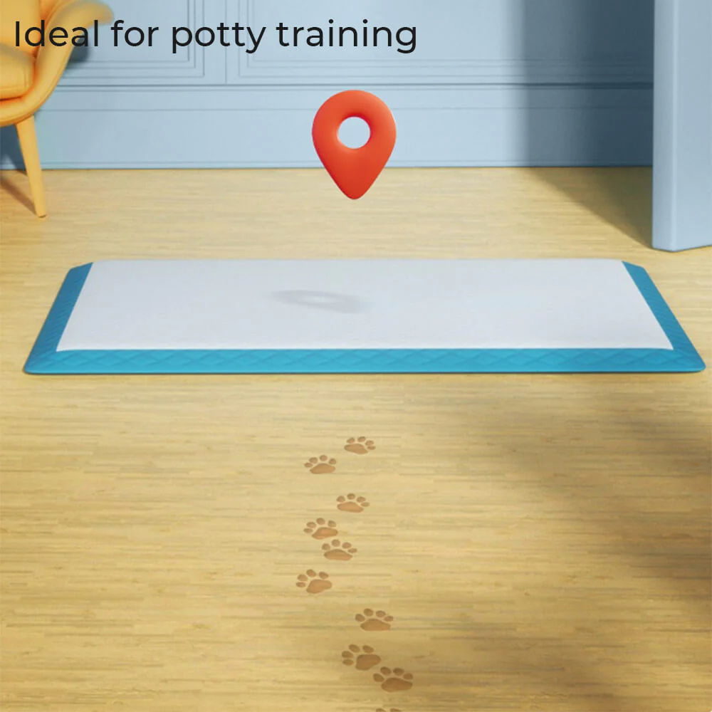 Dog Pee Training Pad - Disposable Pet Pads Absorbent & Leak-Proof - Image 4