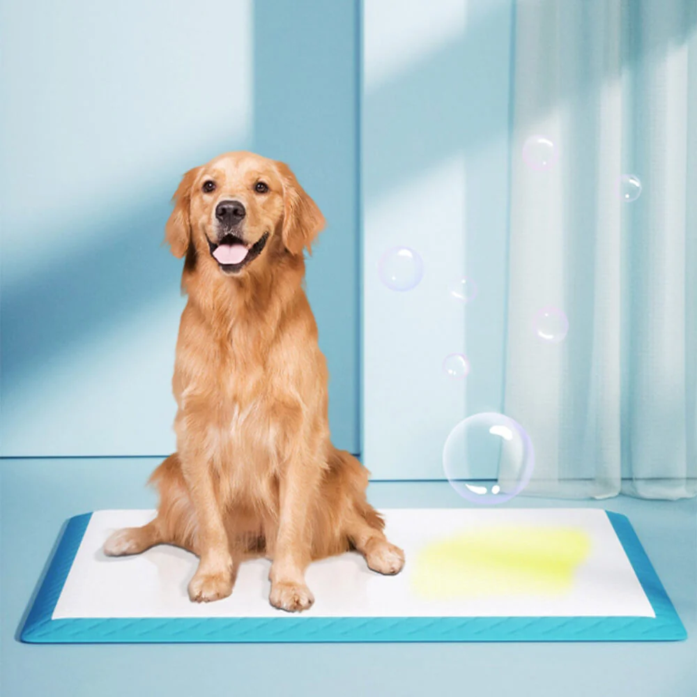 Dog Pee Training Pad - Disposable Pet Pads Absorbent & Leak-Proof - Image 5