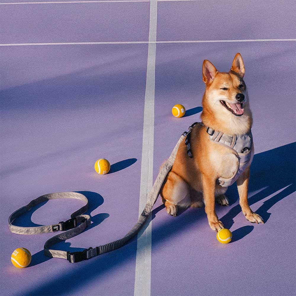 Dual-sided Reflective Adjustable Versatile Soft Handle Nylon Large Dog Lead - Flexi Walker - Image 12