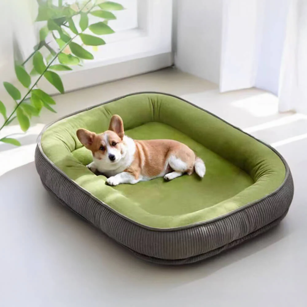 Durable Scratch-Resistant Suede Surface Dog Bed - Image 2