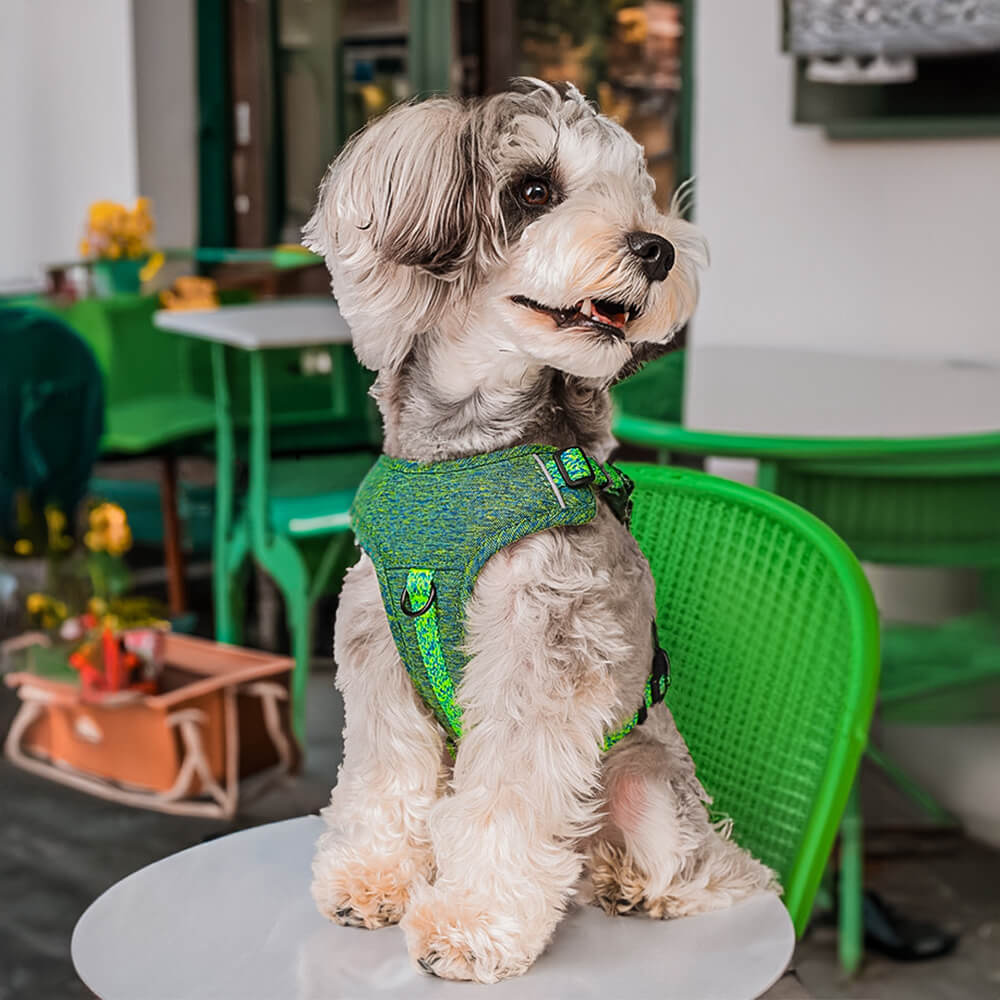 Eco-friendly Recycled Fabric No-Pull Dog Harness/Leash - Image 10