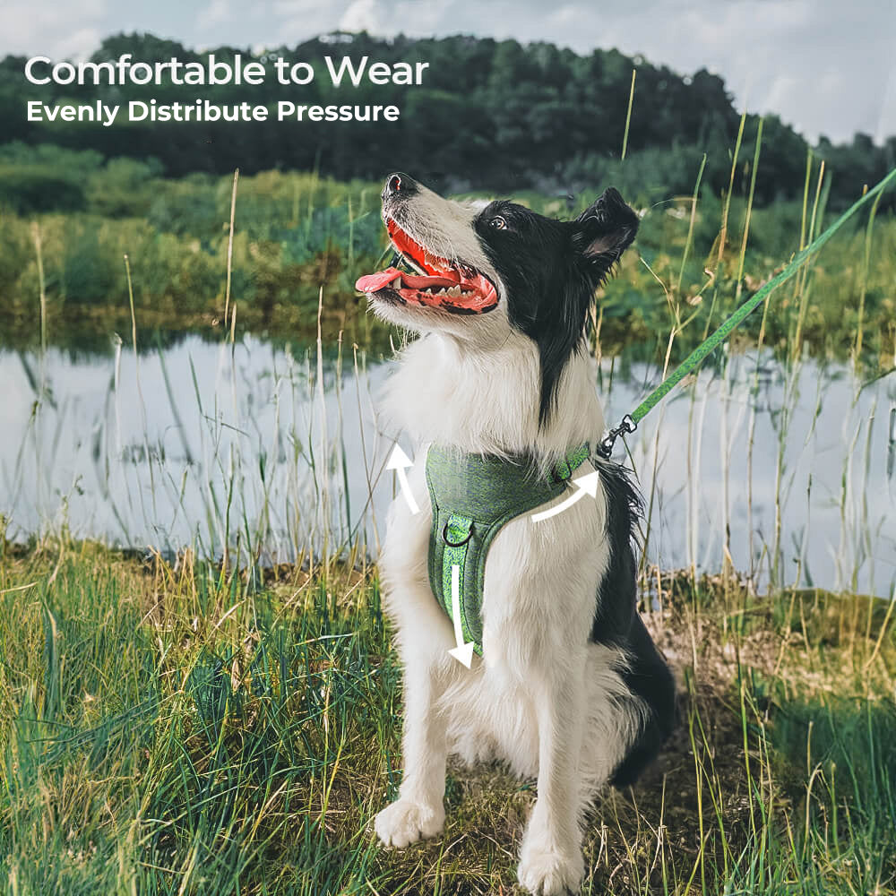 Eco-friendly Recycled Fabric No-Pull Dog Harness/Leash - Image 8