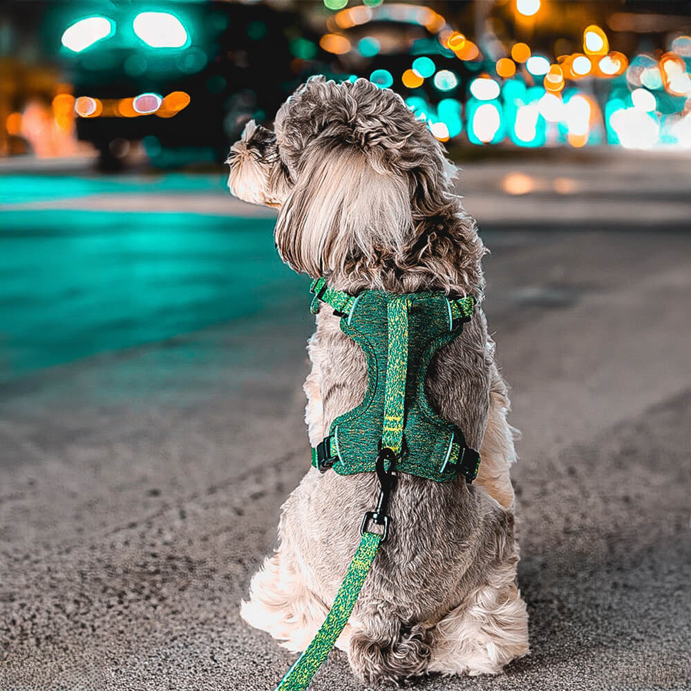 Eco-friendly Recycled Fabric No-Pull Dog Harness/Leash - Image 9
