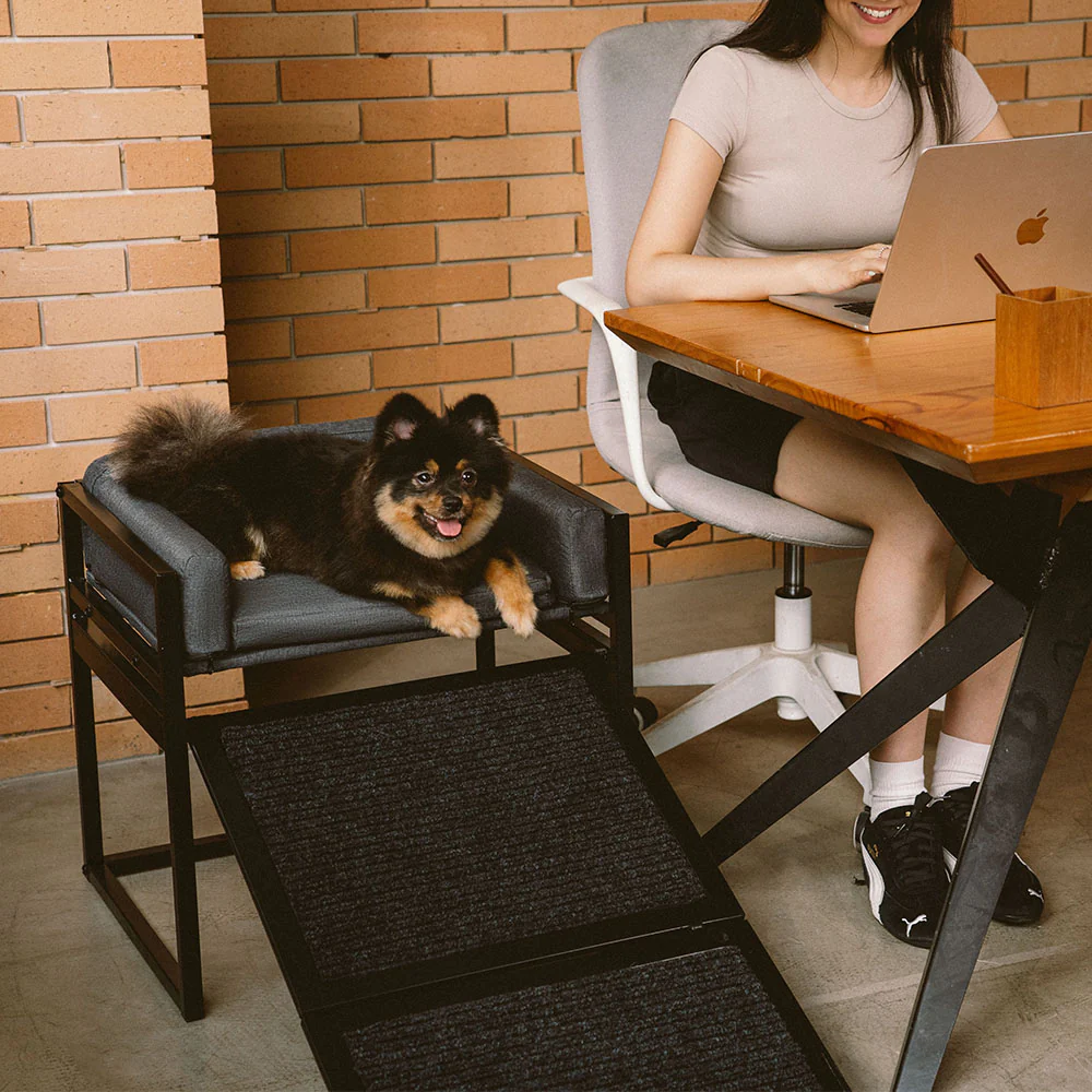 Elevated Pet Sofa Bed with Stairs Ramp for Bedside Lounge or Dog Window Perch - Image 11