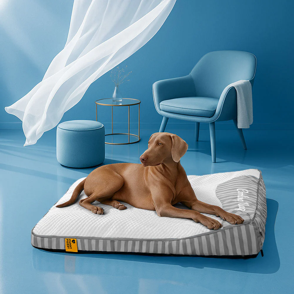Extra Large Cooling Washable Rectangle Orthopaedic Dog Bed - Cooling Nap - Image 17