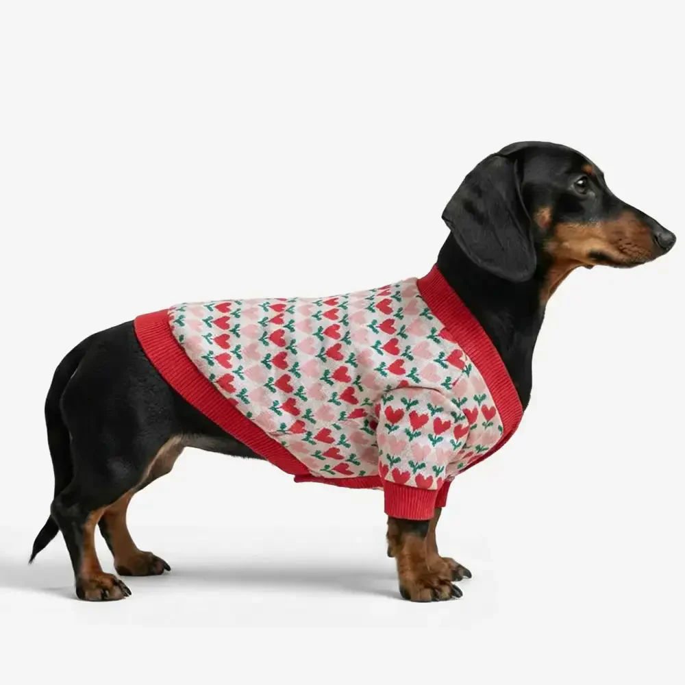 Fair Isle Heart Patterned Dachshund Cardigan Dog Jumper