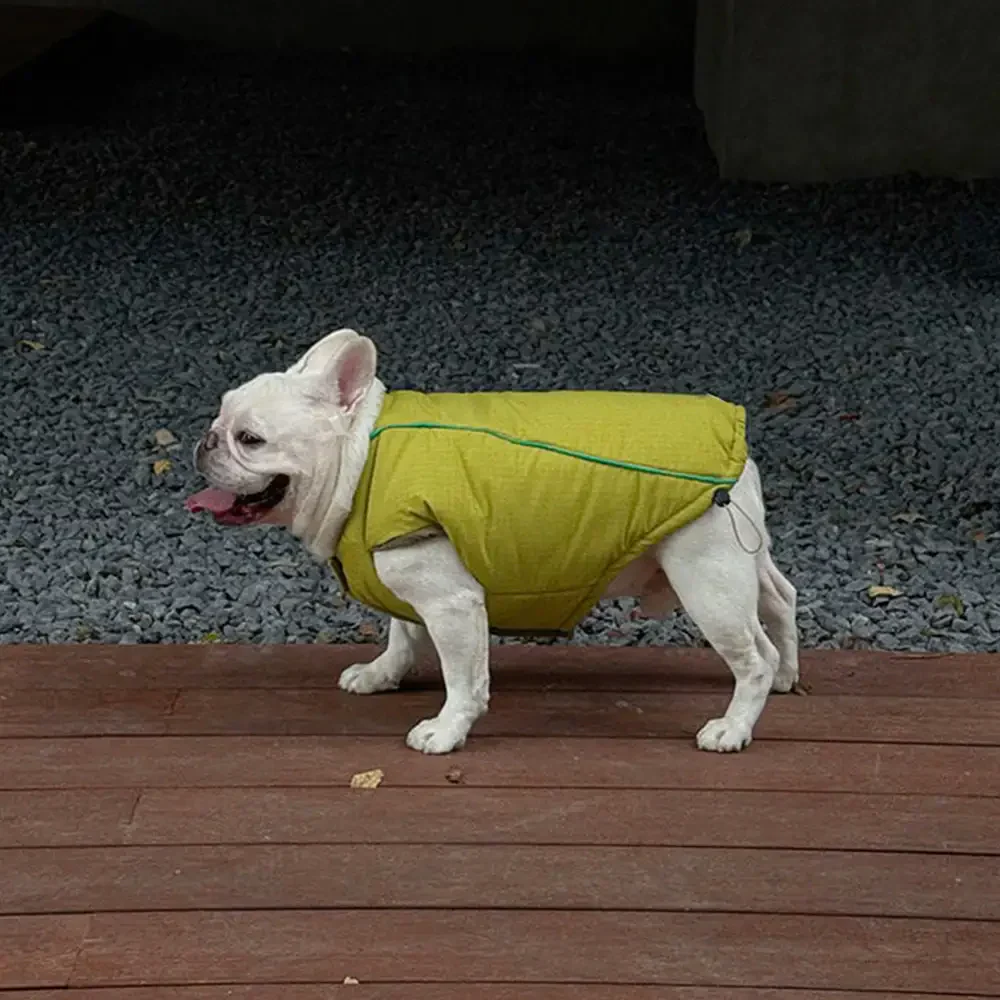 Fashion Reversible Padded Thick Warm Dog Jacket - Image 5