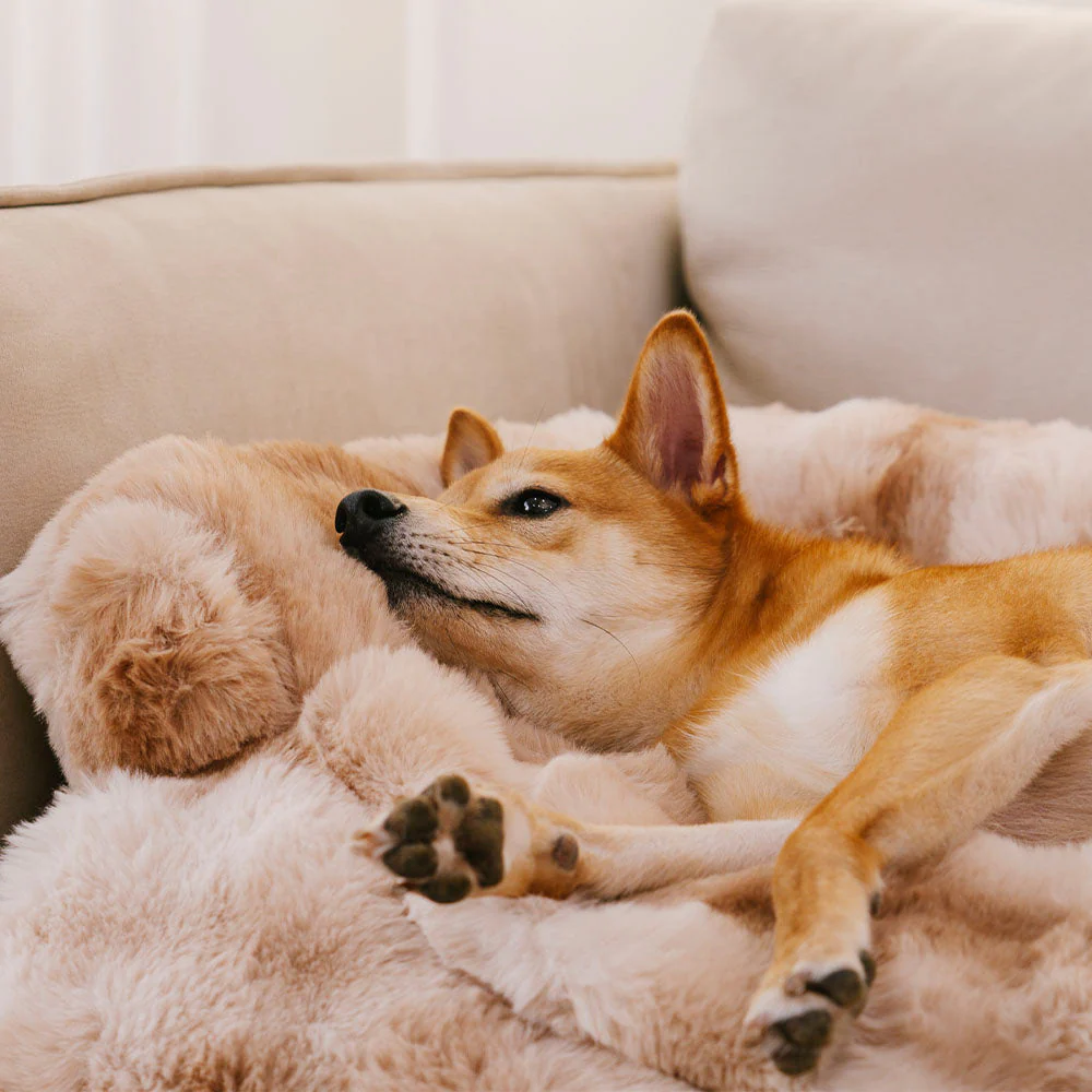 Fluffy Fuzzy Calming Dog Bed Sofa Protector Pet Mat - Image 11
