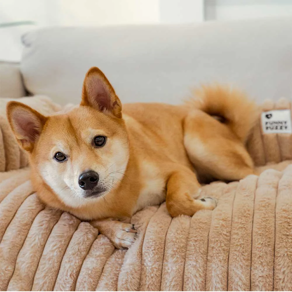 Fluffy Sofa Blanket Bolster Dog Mat Couch Cover - Image 12