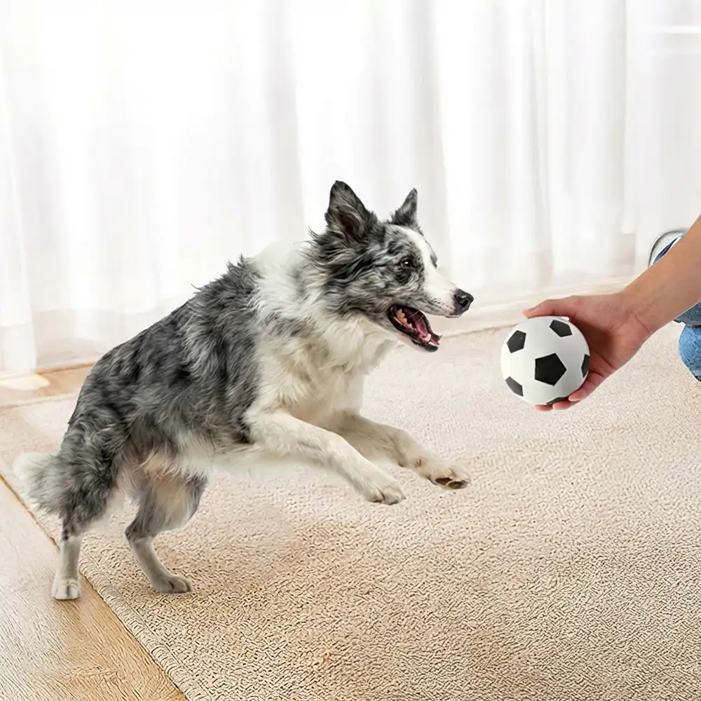 Funny High Elasticity Floating Football Dog Toy - Image 5