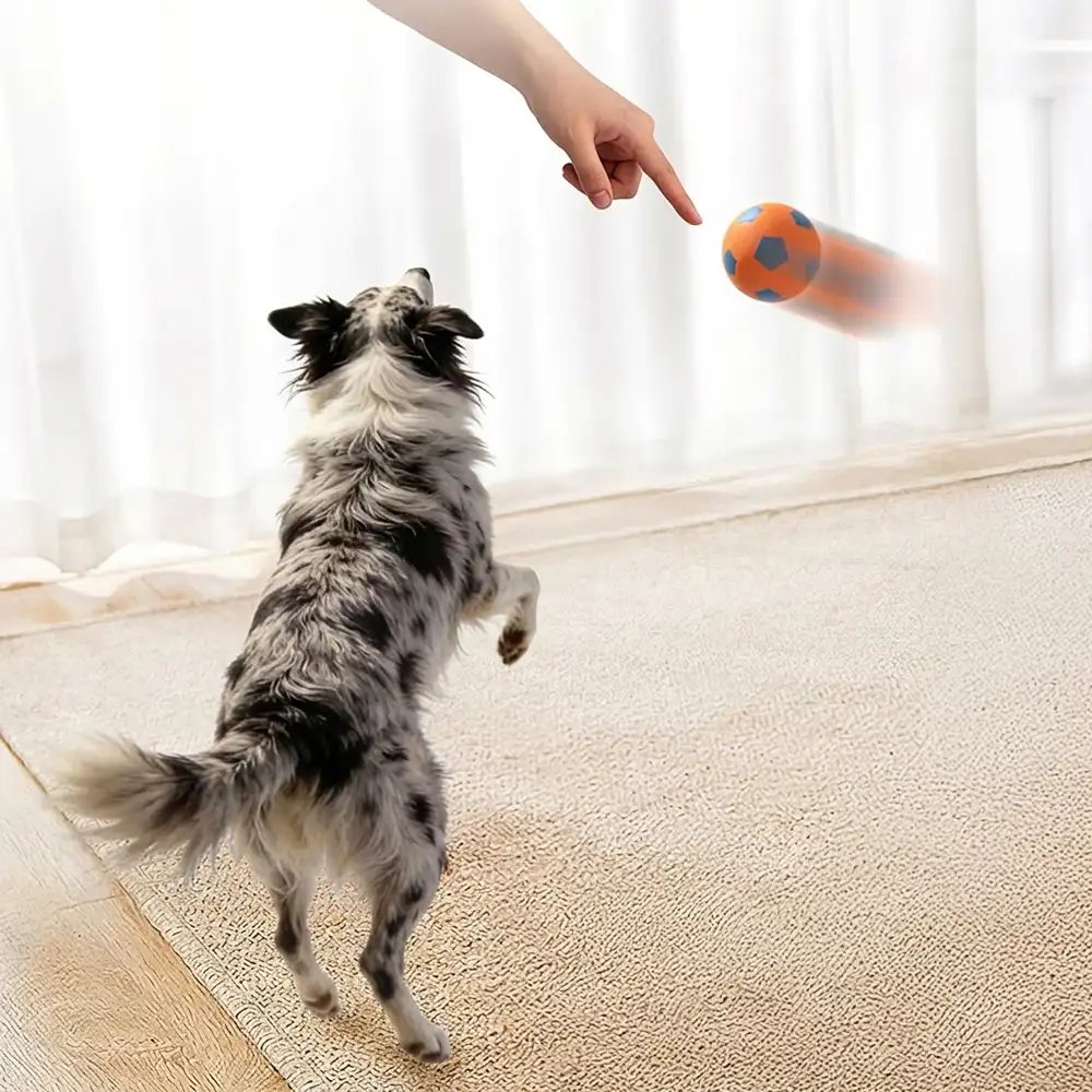 Funny High Elasticity Floating Football Dog Toy - Image 6