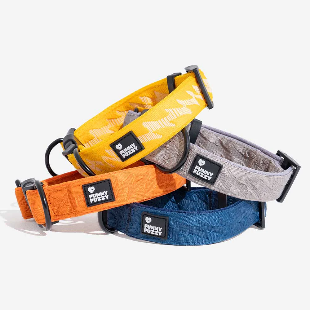 FUNNYFUZZY Adjustable Nylon Durable Dog Collar - Flexi Walker - Image 21