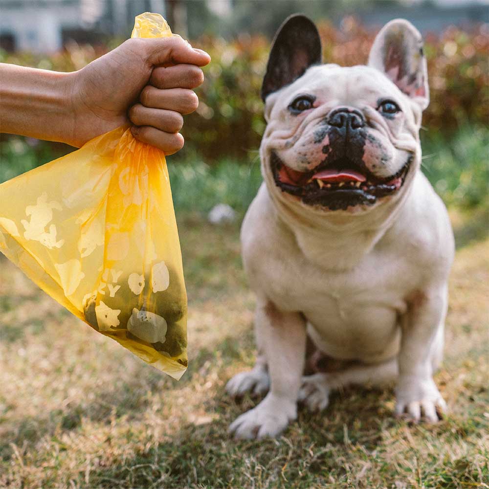 FUNNYFUZZY Lemon Scented Durable Recycled Poop Bags - Fresh Up - Image 3