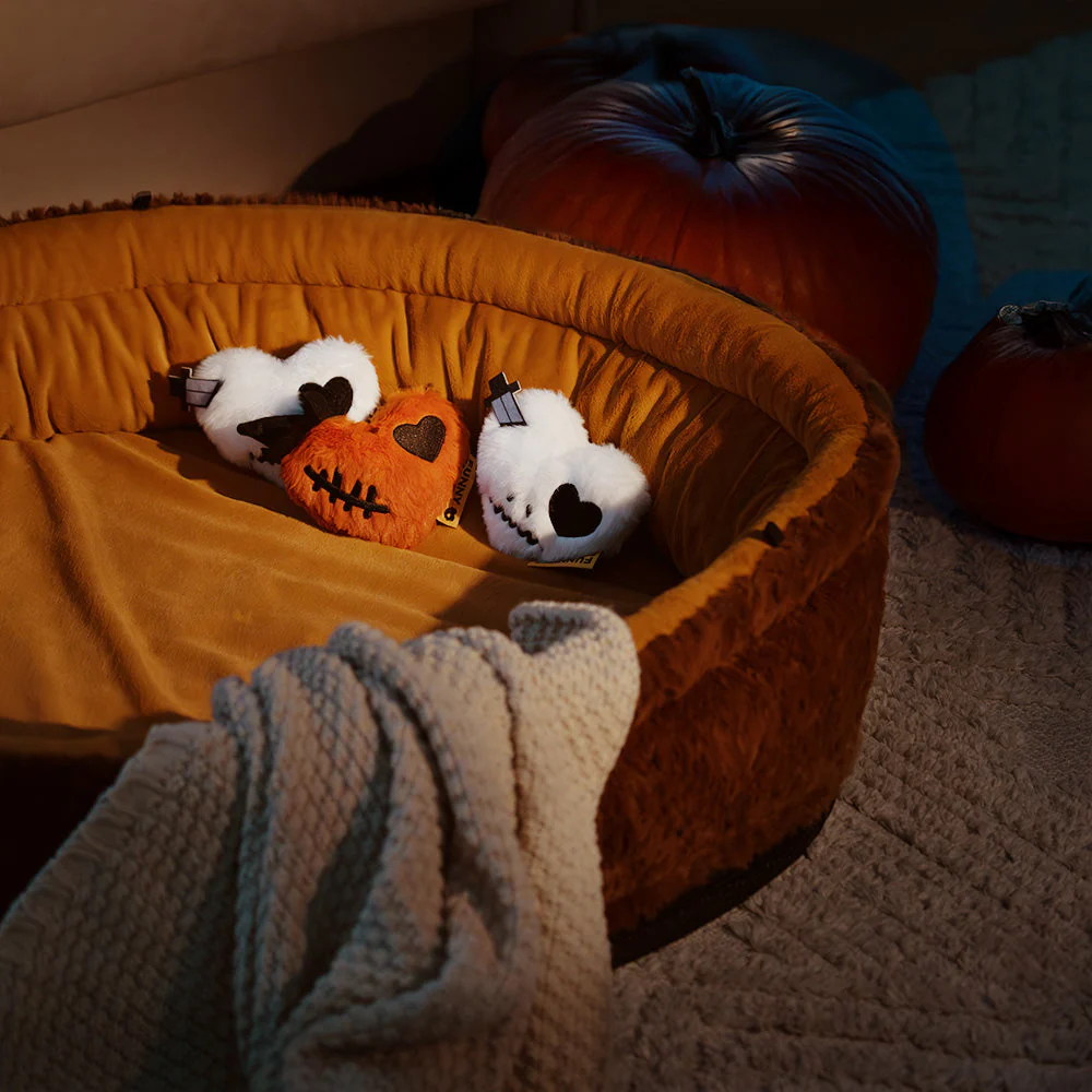 FUNNYFUZZY Plush Squeaky Dog Toy - Image 17