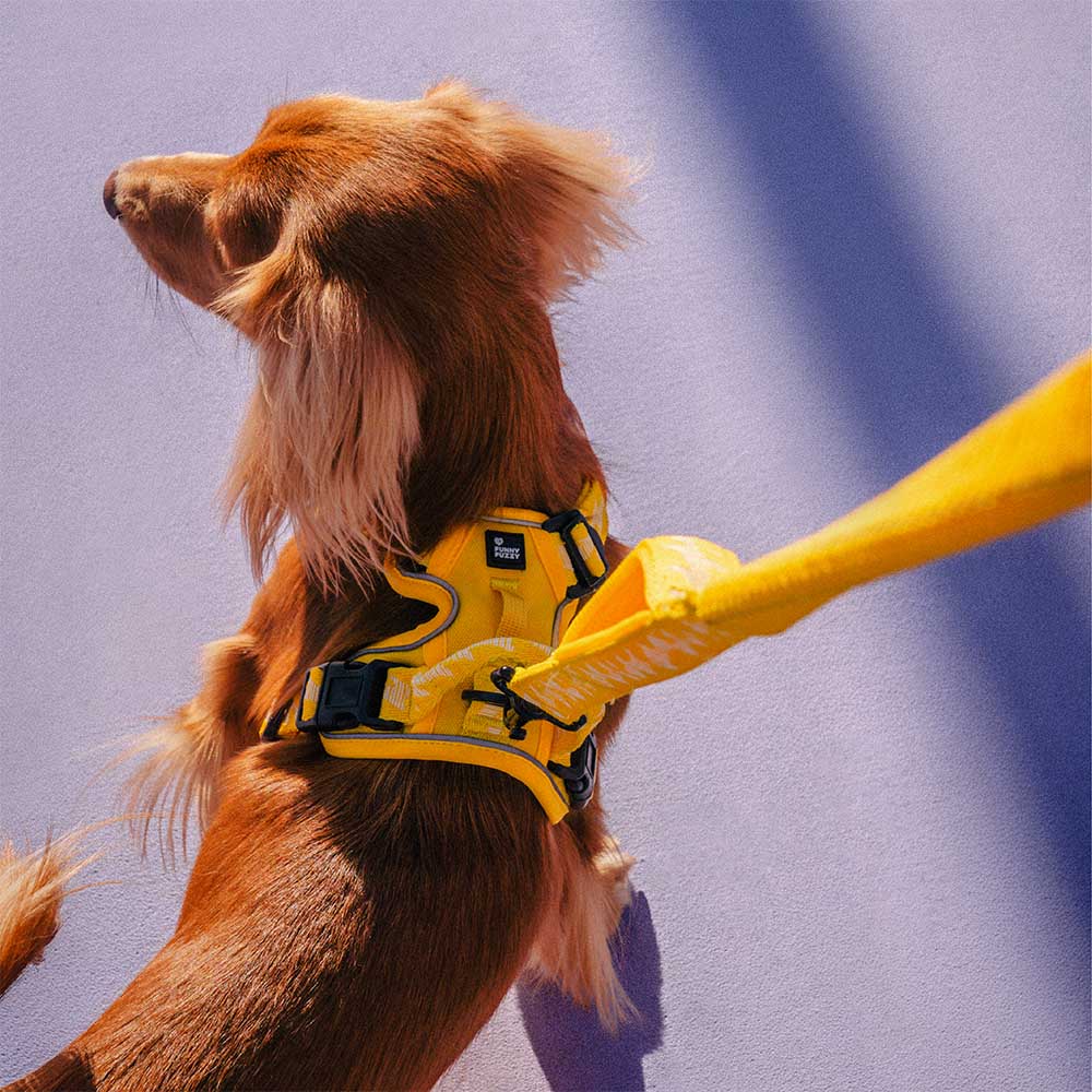 FUNNYFUZZY Reflective Adjustable Outdoor Dog Harness - Flexi Walker - Image 11