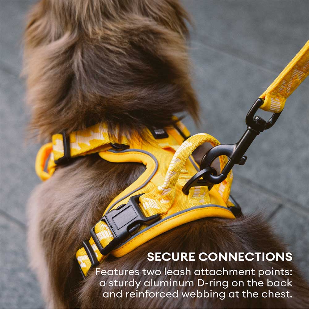 FUNNYFUZZY Reflective Adjustable Outdoor Dog Harness - Flexi Walker - Image 17