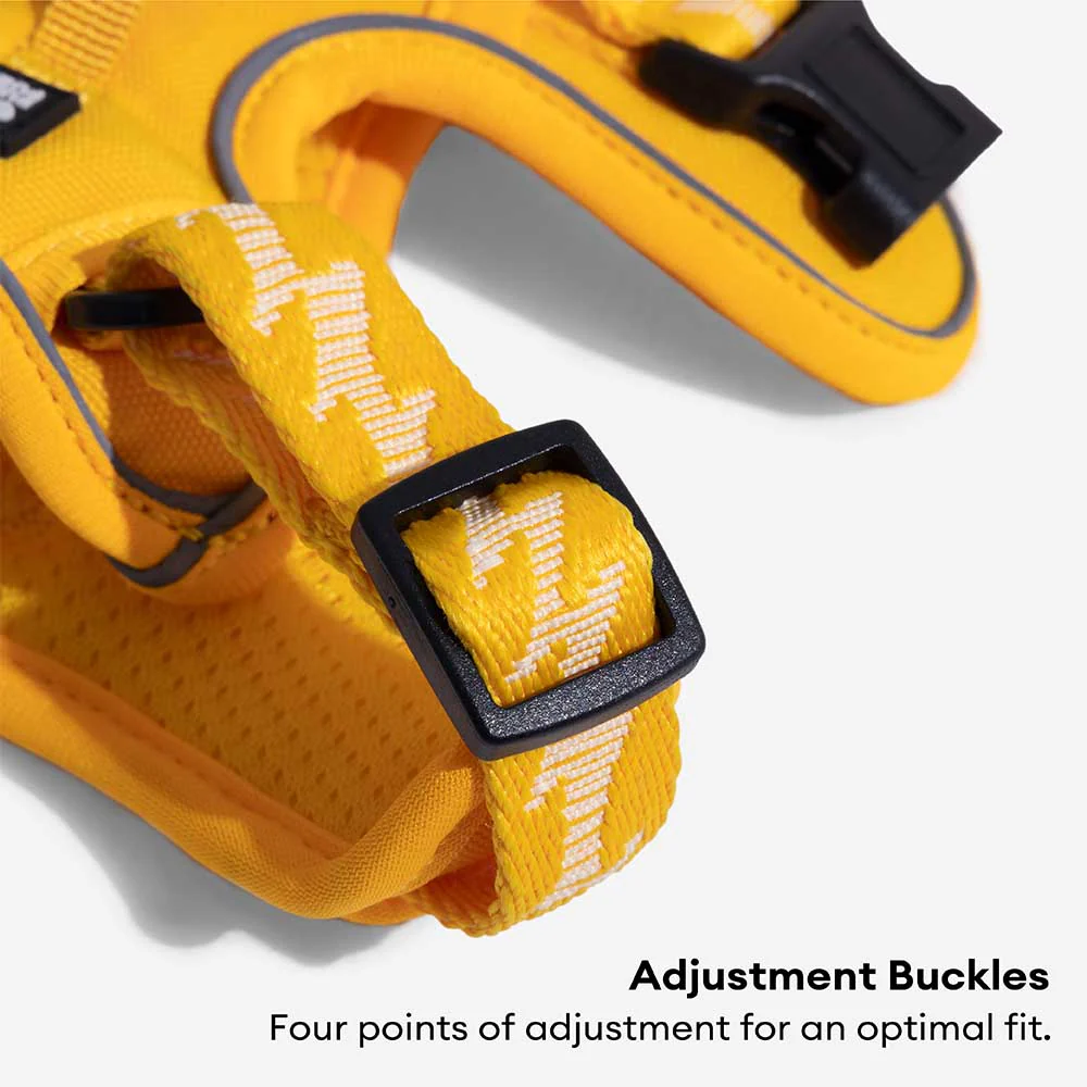 FUNNYFUZZY Reflective Adjustable Outdoor Dog Harness - Flexi Walker - Image 18