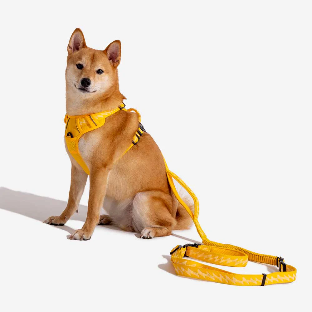 FUNNYFUZZY Reflective Adjustable Outdoor Dog Harness - Flexi Walker - Image 20