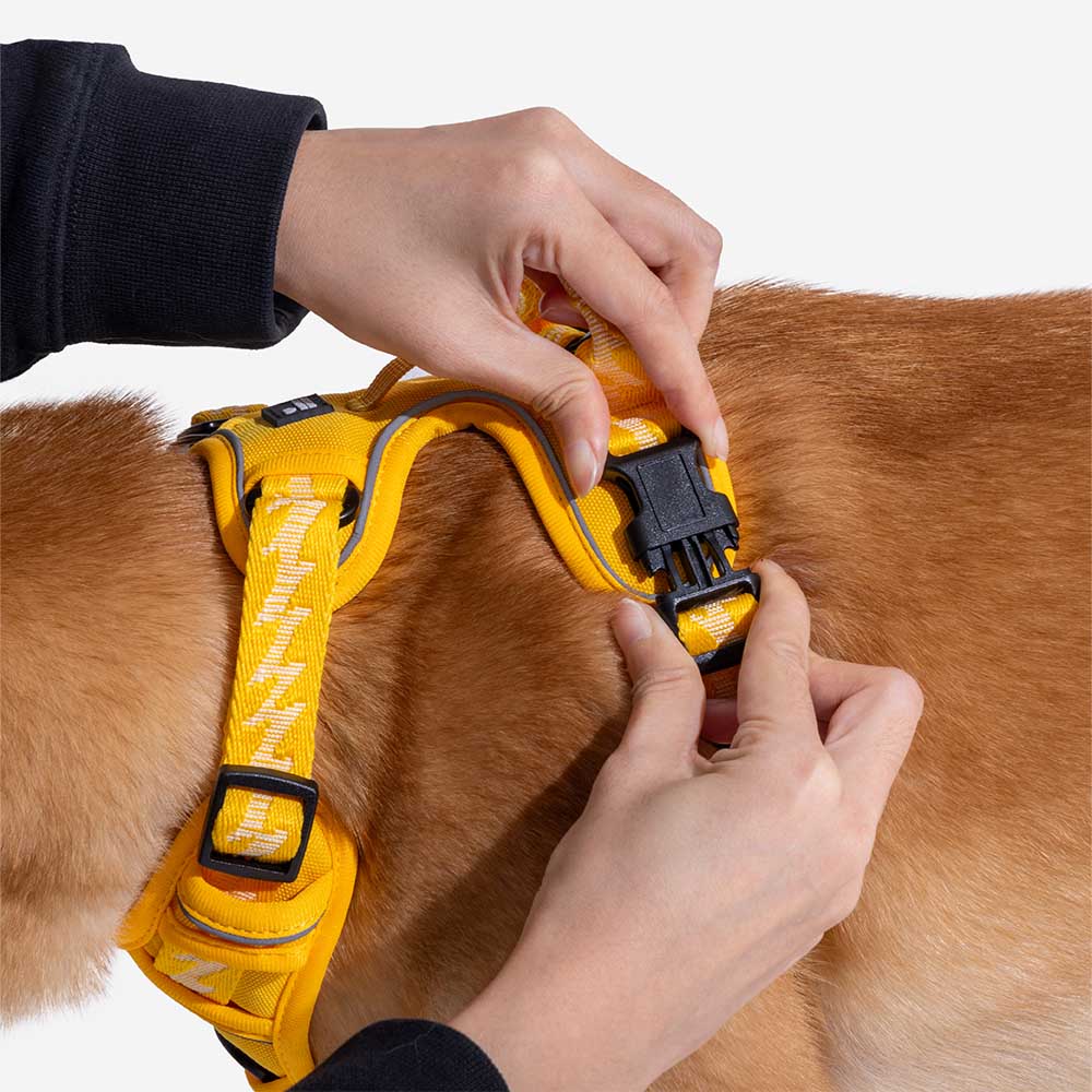 FUNNYFUZZY Reflective Adjustable Outdoor Dog Harness - Flexi Walker - Image 21