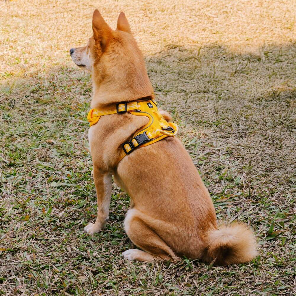 FUNNYFUZZY Reflective Adjustable Outdoor Dog Harness - Flexi Walker - Image 3
