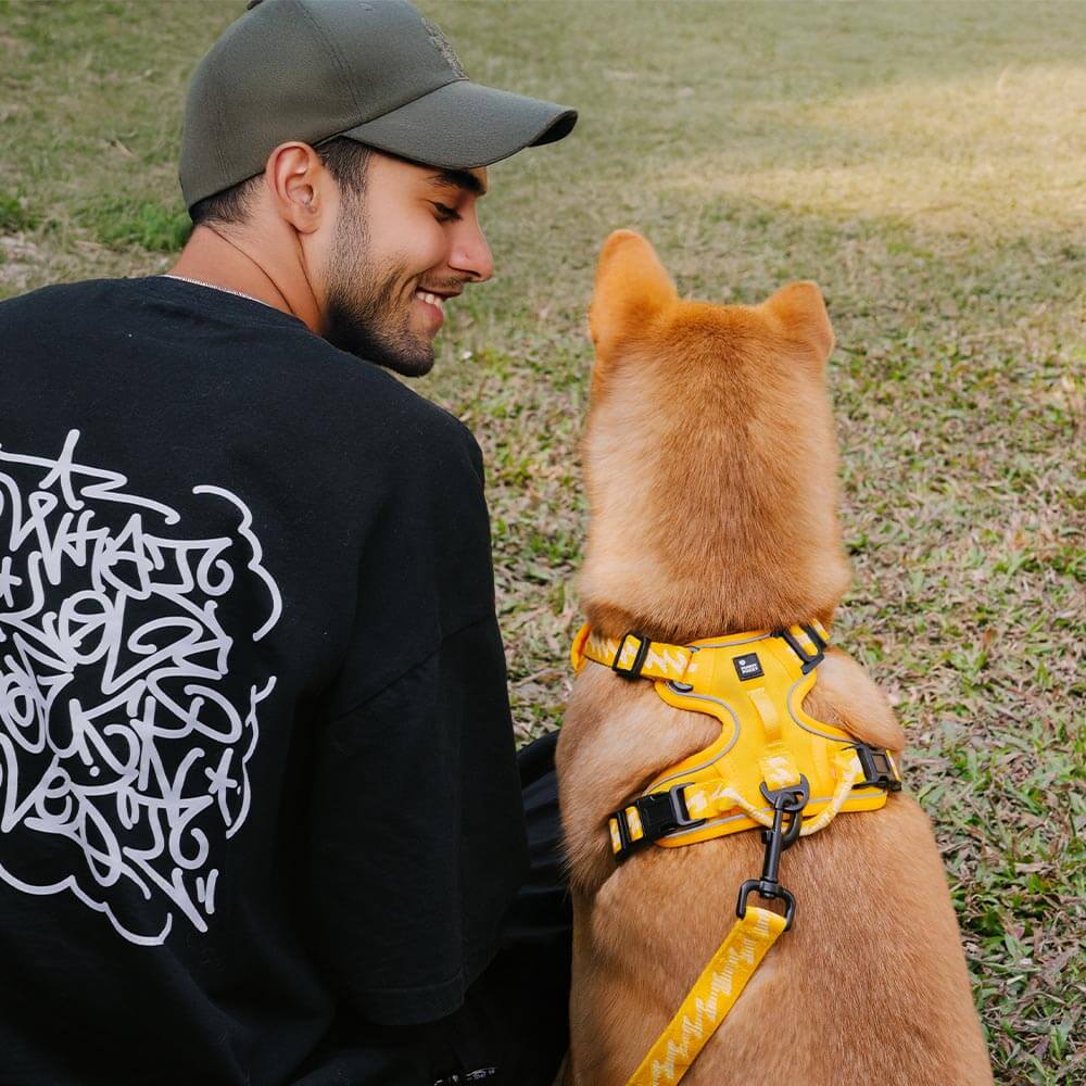 FUNNYFUZZY Reflective Adjustable Outdoor Dog Harness - Flexi Walker - Image 5