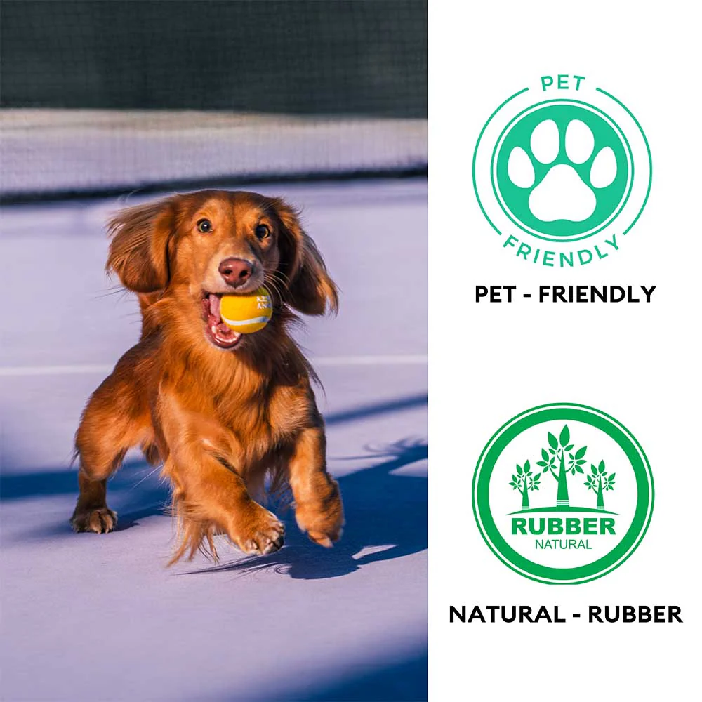 FUNNYFUZZY Tennis Ball Dog Toy - Squeaky & Bounce - Image 6