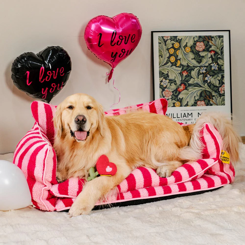 FUNNYFUZZY Valentine's Day Rose Plush Squeaky Dog Toy - Image 4