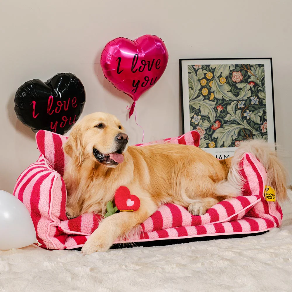 FUNNYFUZZY Valentine's Day Rose Plush Squeaky Dog Toy - Image 5