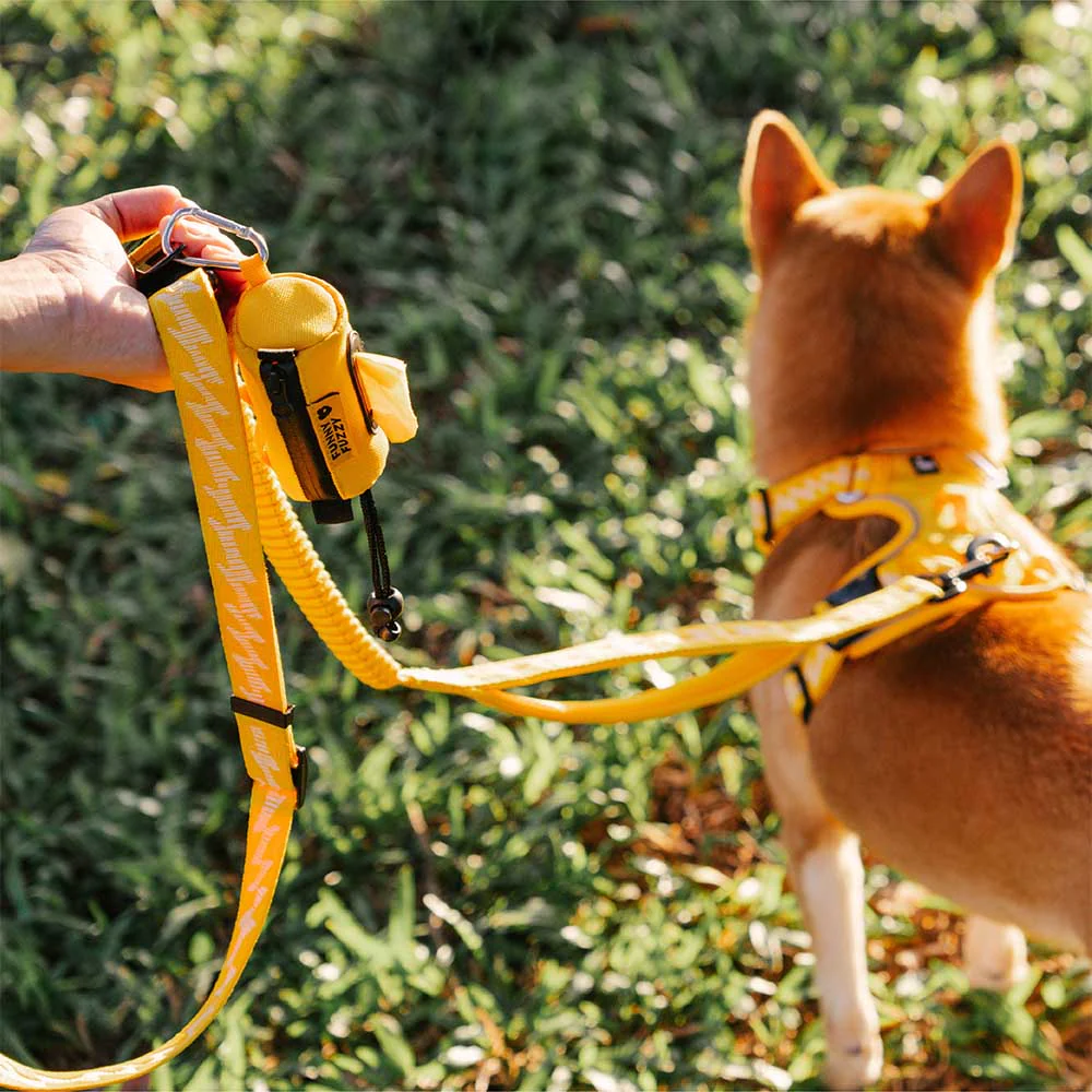 FUNNYFUZZY Waterproof Lead Attachable Poop Bag Dispenser - Flexi Walker - Image 6