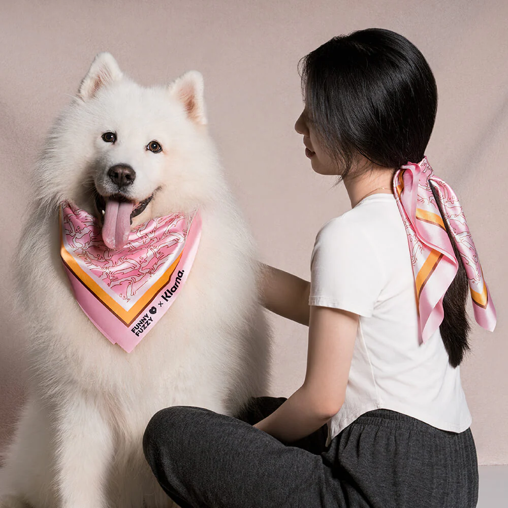 FUNNYFUZZY X Klarna Travel Safety Large Dog Car Seat Bed - Image 13