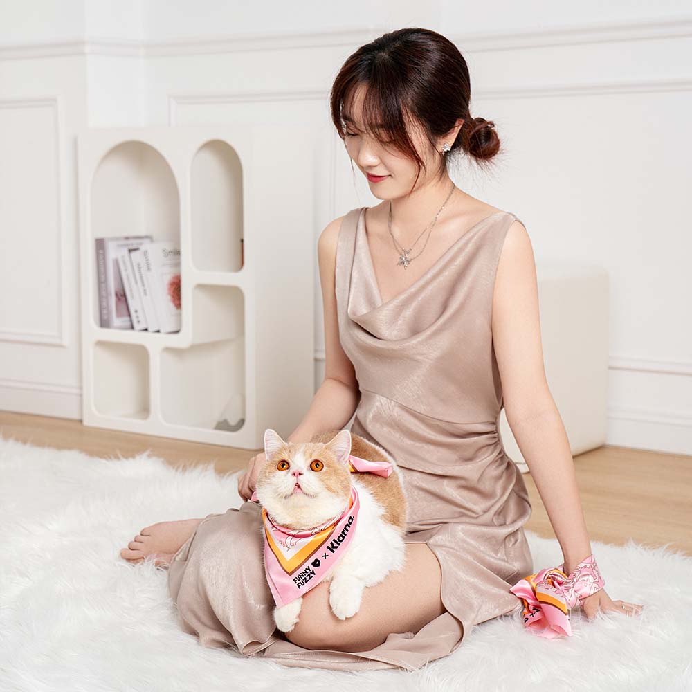 FUNNYFUZZY X Klarna Travel Safety Large Dog Car Seat Bed - Image 17
