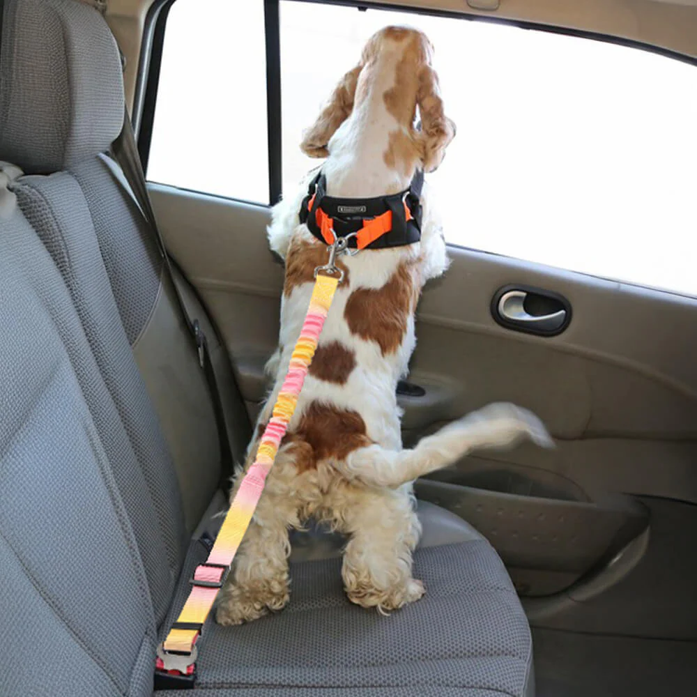 Gradient Elastic Shock-Absorbing Pet Car Safety Belt - Image 3