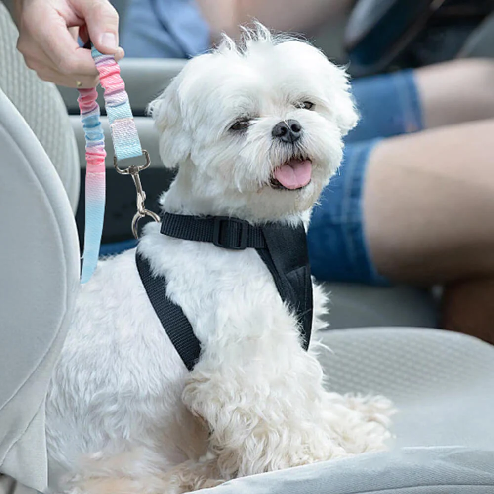 Gradient Elastic Shock-Absorbing Pet Car Safety Belt - Image 4