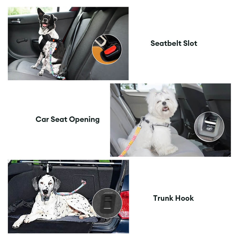 Gradient Elastic Shock-Absorbing Pet Car Safety Belt - Image 5