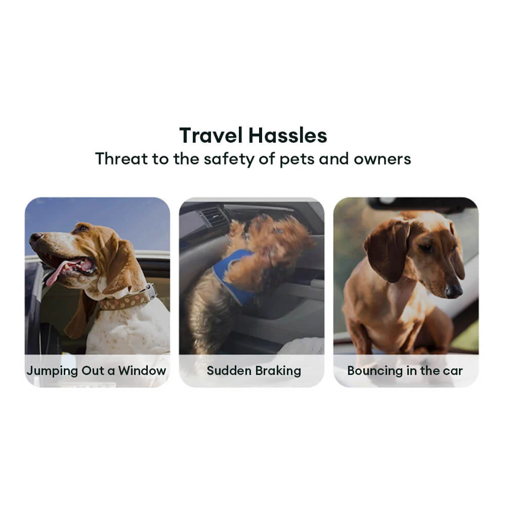 Gradient Elastic Shock-Absorbing Pet Car Safety Belt - Image 7