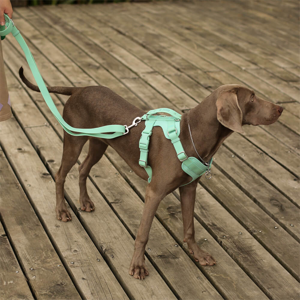 Gummy Dog Harness - Image 5
