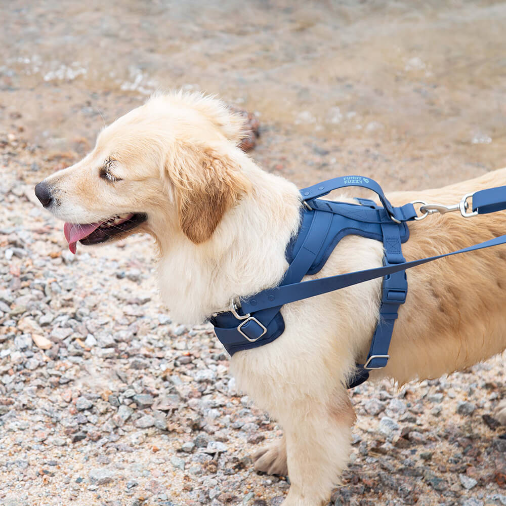 Gummy Dog Harness - Image 6