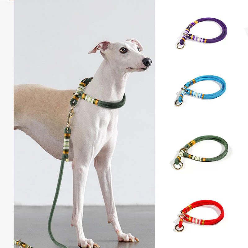Hand-knitted Braided Rope No Pull Cool Dog Accessories Training Collar-Limited Quantity - Image 3