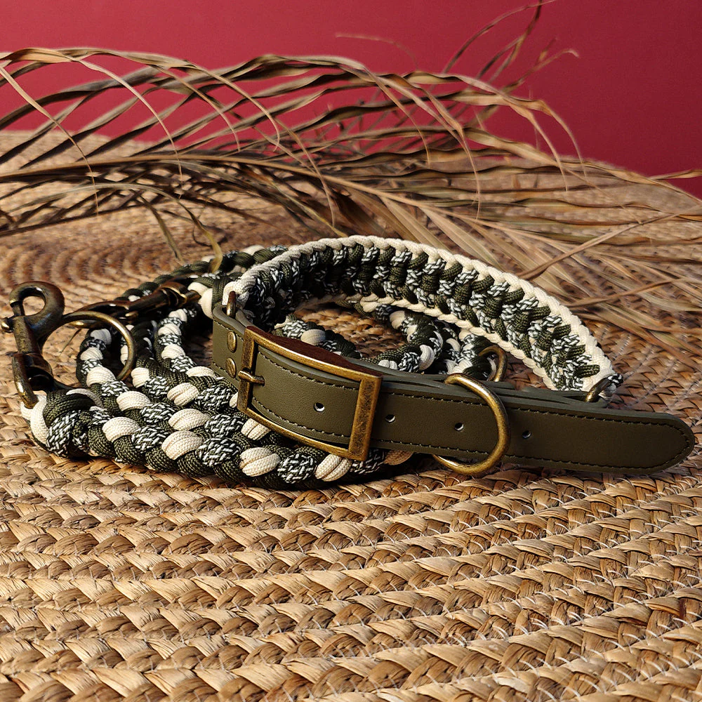 Hand-Woven Leather Multifunctional Anti-Pull Dog Collar and Lead Set