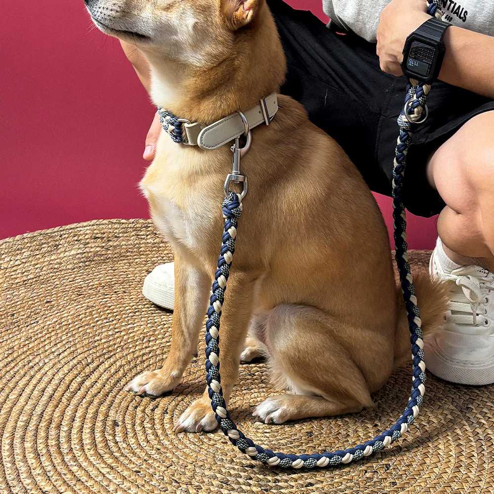 Hand-Woven Leather Multifunctional Anti-Pull Dog Collar and Lead Set - Image 2