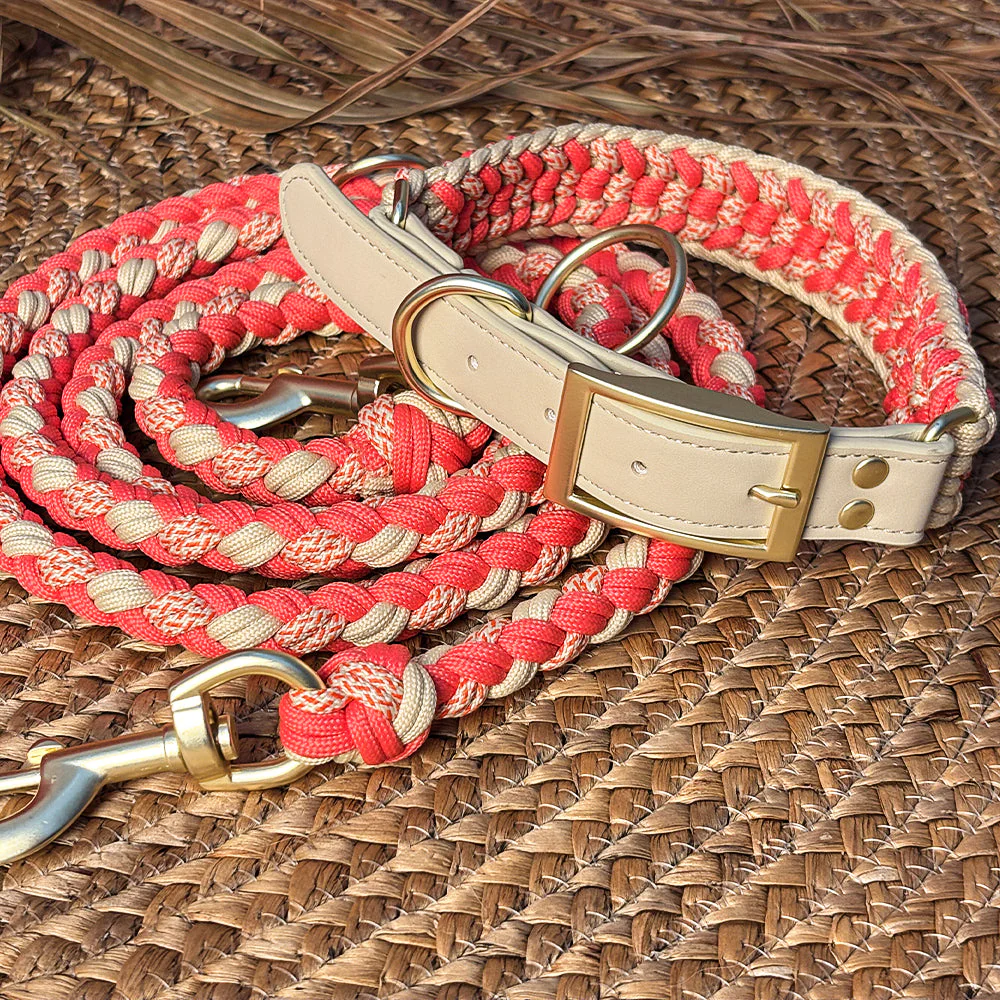 Hand-Woven Leather Multifunctional Anti-Pull Dog Collar and Lead Set - Image 4