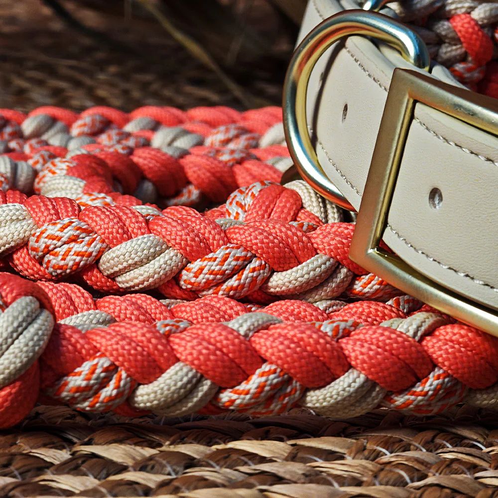 Hand-Woven Leather Multifunctional Anti-Pull Dog Collar and Lead Set - Image 5