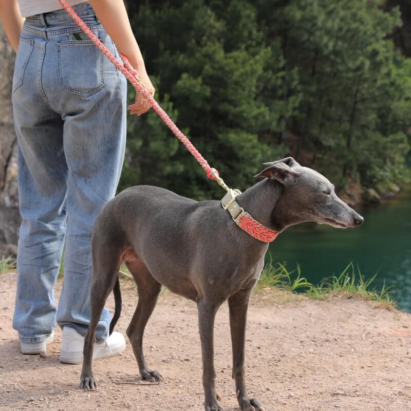 Hand-Woven Leather Multifunctional Anti-Pull Dog Collar and Lead Set - Image 8