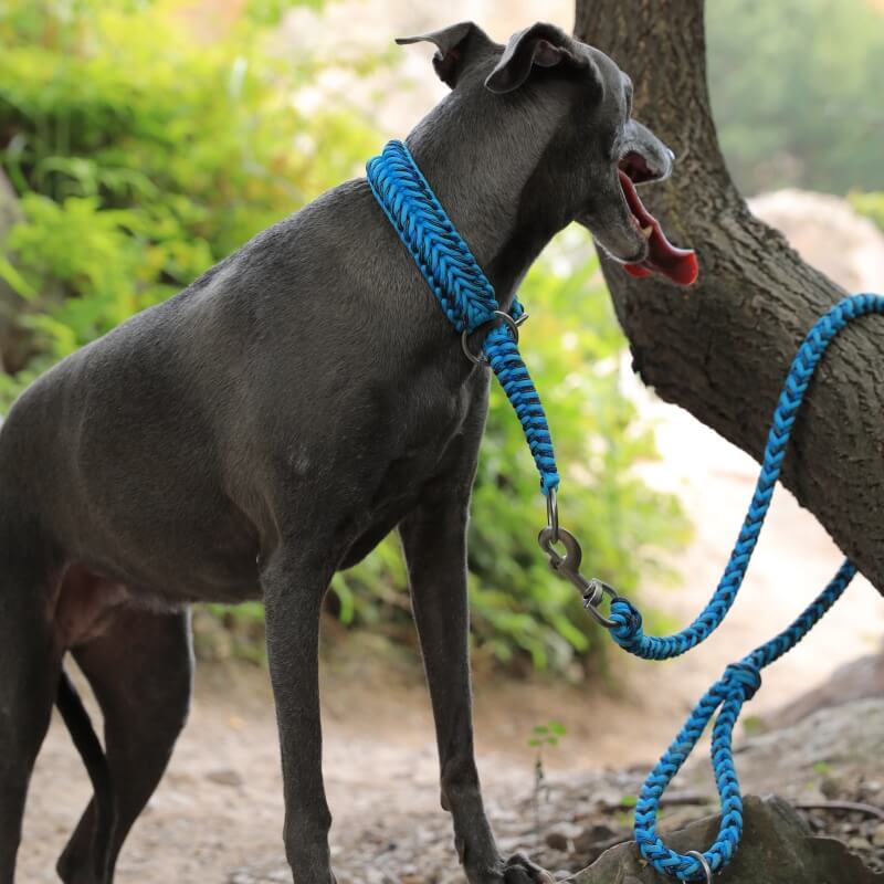 Handmade Anti-Pull Luminous Large Dog Collar and Lead - Image 2